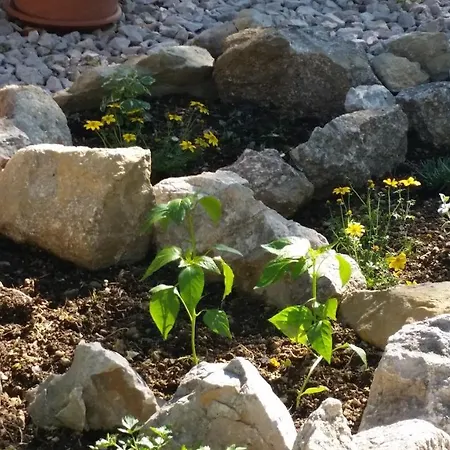Alpesi faház Stone House Vlasta *