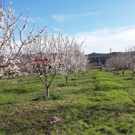 Stone House Vlasta シャレー