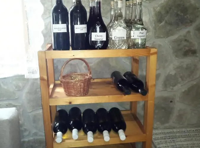 Chalet Stone House Vlasta *