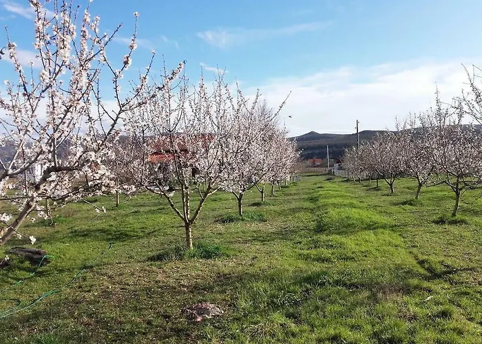 Stone House Vlasta Chalet